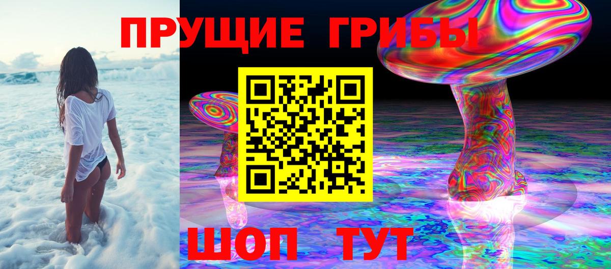 Карасук  Псилоцибиновые грибы MAGIC MUSHROOMS  Вход с VPN  Псилоцибиновые грибы MAGIC MUSHROOMS 