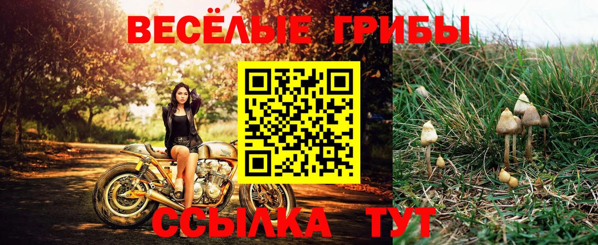 Галлюциногенные грибы мицелий Карасук